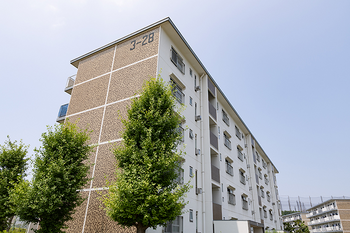 漢方オイル 木のき | 八千代のリラクゼーション