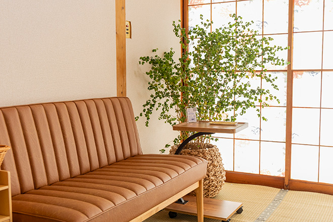 さかい整体院 | 燕のリラクゼーション