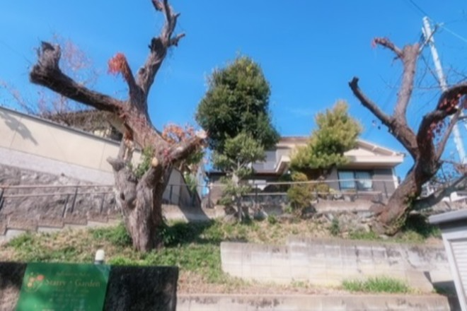 Starry・Garden | 生駒のリラクゼーション