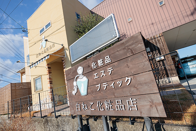 白ねこ化粧品店 | 高松のエステサロン 白ねこ化粧品店 | 高松のエステサロン