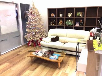 Le Parfumm 新松戸ダイエー店 ルパルファンエム シンマツドダイエーテン 千葉県 新松戸 の美容院 美容室 ビューティーパーク