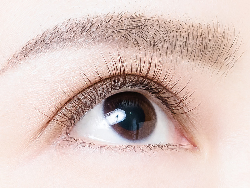 人類 ハング ラブ 関内 マツエク Zekiyalcinkaya Org