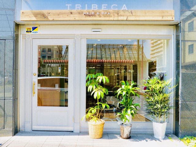 TRIBECA Hair&Spa 柏店 | 柏のヘアサロン