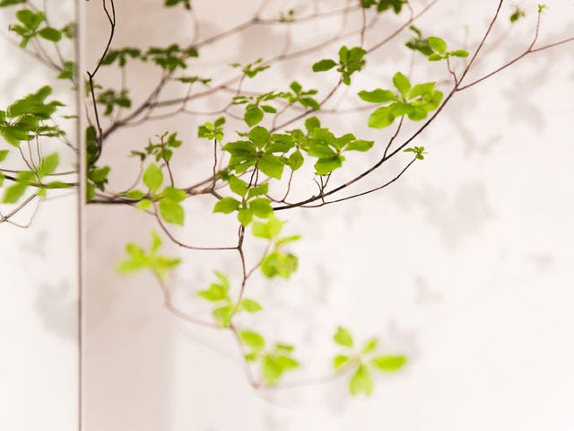 Lsurii 東銀座店 | 銀座のヘアサロン Lsurii 東銀座店 | 銀座のヘアサロン