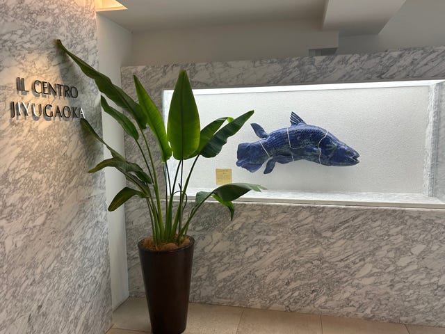 Habibi Beauty&Wellness care salon | 自由が丘のリラクゼーション Habibi Beauty&Wellness care salon | 自由が丘のリラクゼーション