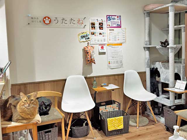 眠れるほぐし処うたたね 神楽坂本店 | 飯田橋のリラクゼーション