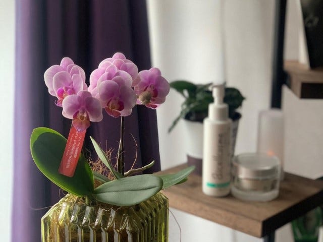 オールハンド×ヒト幹細胞 エイジングケア専門 Infini | 麻布のリラクゼーション オールハンド×ヒト幹細胞 エイジングケア専門 Infini | 麻布のリラクゼーション