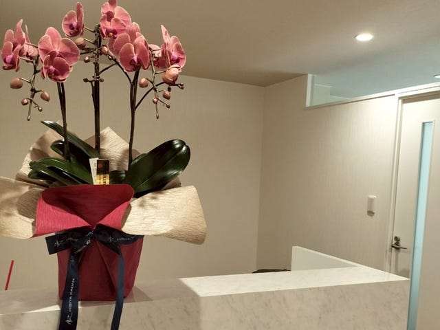 ADELL BELLE | 新宿のリラクゼーション