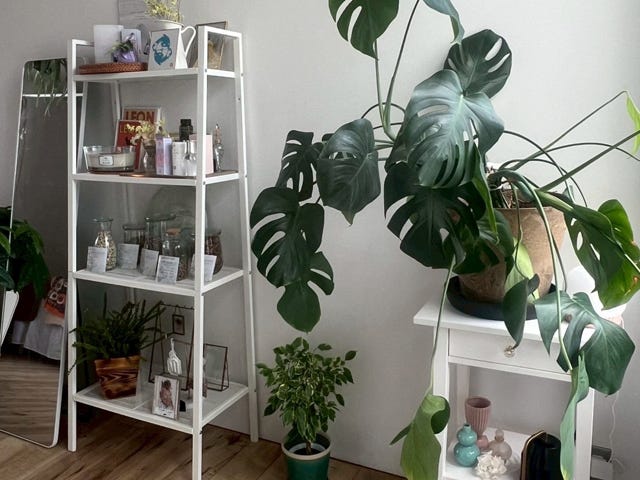 Meguru Salon 自由が丘 | 自由が丘のリラクゼーション