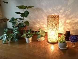 ゆるみサロン象の手 | 川越のリラクゼーション