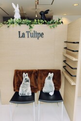 La Tulipe | 中野のヘアサロン