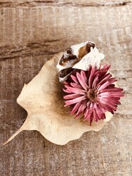 clover field | 仙台のヘアサロン clover field | 仙台のヘアサロン