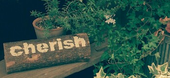 cherish | 与野のヘアサロン