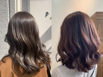 hair and spa palm 東大宮店 | 大宮のヘアサロン