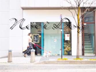 Noci | 松本のヘアサロン