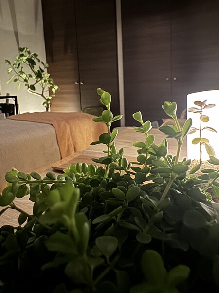 頭とリンパの隠れ家サロン guppy | 安城のリラクゼーション