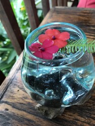 神楽坂のほぐし堂 | 新宿のリラクゼーション