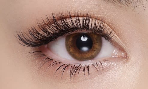 Favori~EyelashSalon~神戸三宮店 | 三宮のアイラッシュ