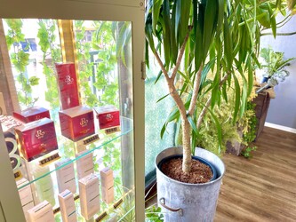 ハーブピーリング専門店HERBERRY栄 | 栄/矢場町のエステサロン