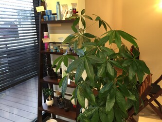 succes | 香椎のヘアサロン succes | 香椎のヘアサロン