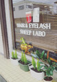 Hair&eyelash sheep.labo | 都留のアイラッシュ