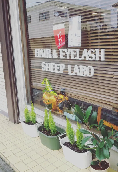 Hair&eyelash sheep.labo | 都留のアイラッシュ