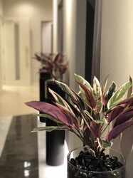 Alam Cantik | 元町のエステサロン