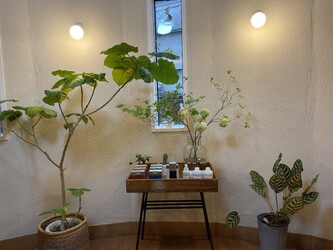 stellaBOUTIQUE | 中目黒のヘアサロン