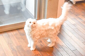 足つぼ屋 PERIDOT | 新宿のリラクゼーション