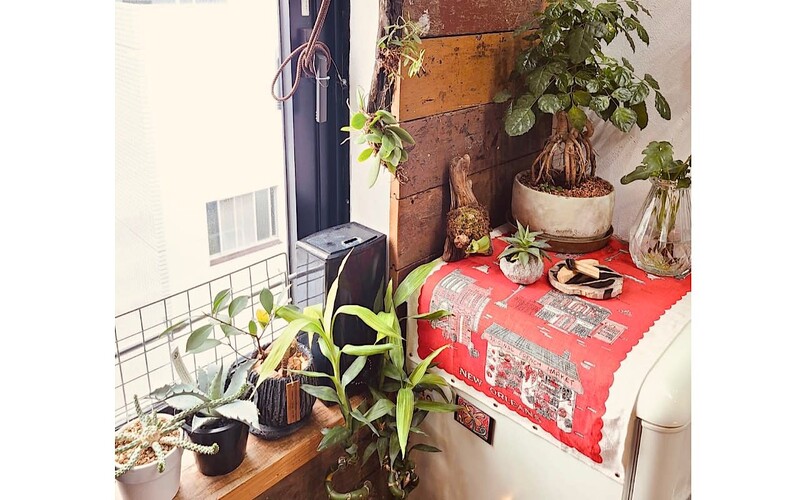 501 HAIR studio | 天神/大名のヘアサロン