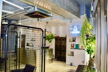 A HAIR DESIGN ART | 薬院/渡辺通/桜坂のヘアサロン