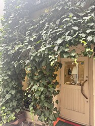 サロン アトリエK 恵比寿 | 恵比寿のヘアサロン サロン アトリエK 恵比寿 | 恵比寿のヘアサロン