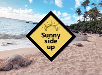 Sunny side up | 大宮のヘアサロン Sunny side up | 大宮のヘアサロン