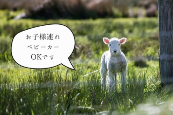 hair and eyelash nuit... | 高知のアイラッシュ