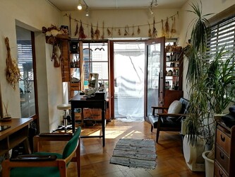 Hair salon SAVOIA with DOG | 上大岡のヘアサロン