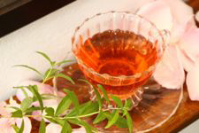 Avalon | 阿佐ヶ谷のヘアサロン