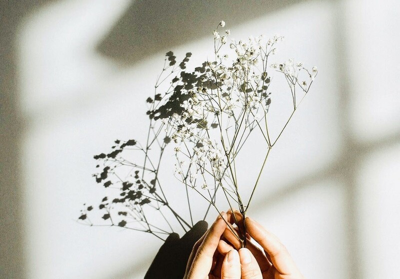 髪質改善 完全個室完結型サロン aster 越谷レイクタウン 美容室 | 越谷のヘアサロン