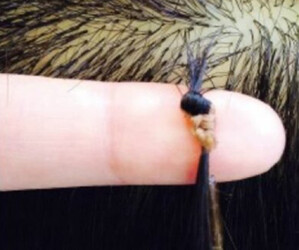 mau:a【マウア】 | 立川のヘアサロン