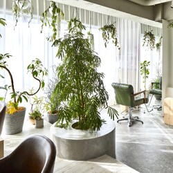 Lit. 自由が丘 髪質改善特化サロン | 自由が丘のヘアサロン Lit. 自由が丘 髪質改善特化サロン | 自由が丘のヘアサロン