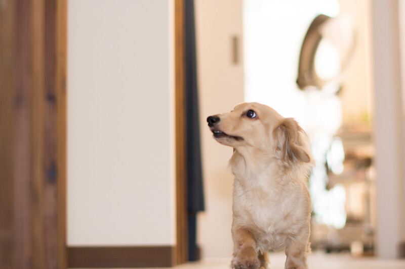 SOL | 栄/矢場町のヘアサロン