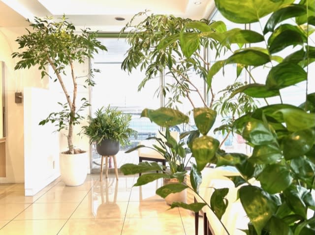 Ash 横浜瀬谷店 | 大和のヘアサロン