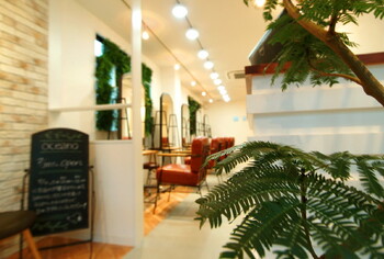 oceano | 北千住のヘアサロン