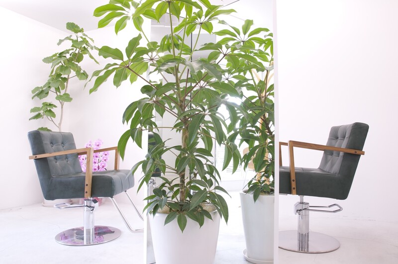 seul hair | 河原町/木屋町/先斗町のヘアサロン