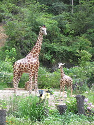 Anniversary美容室 Mimore | 倉敷のヘアサロン