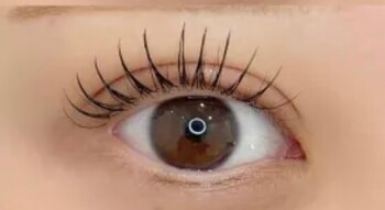 ALO | 横須賀のアイラッシュ