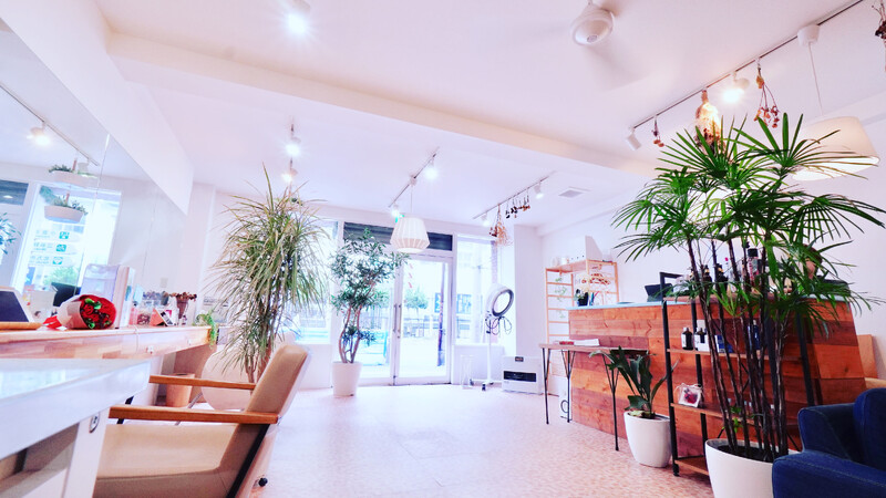 organic hair salon Tree 香春口三萩野 | 北九州のヘアサロン