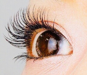 PURENESS | 四条烏丸/五条/西院のアイラッシュ