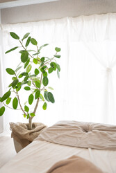 indibasalon88 | 下北沢のエステサロン