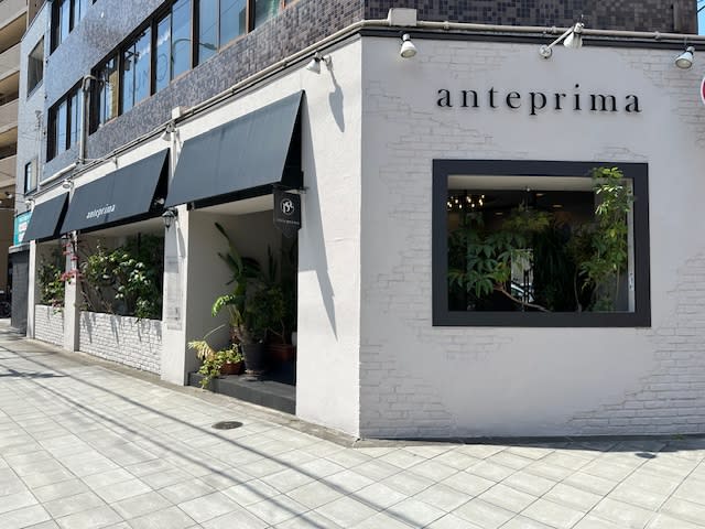 anteprima 【アンテプリマ】 | 天王寺/阿倍野のヘアサロン