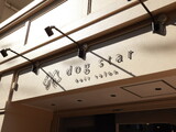 dog star | 登戸のヘアサロン